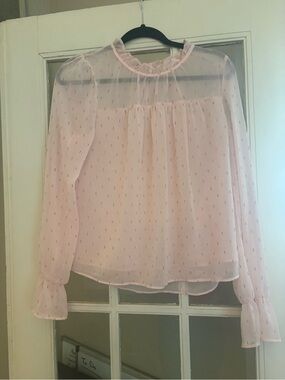 Delicate Sheer Pink Long-Sleeve Ruffle Neck Blouse